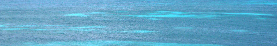 Diving top2
