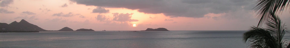 bay view sunset top