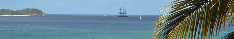 view med palmblad top